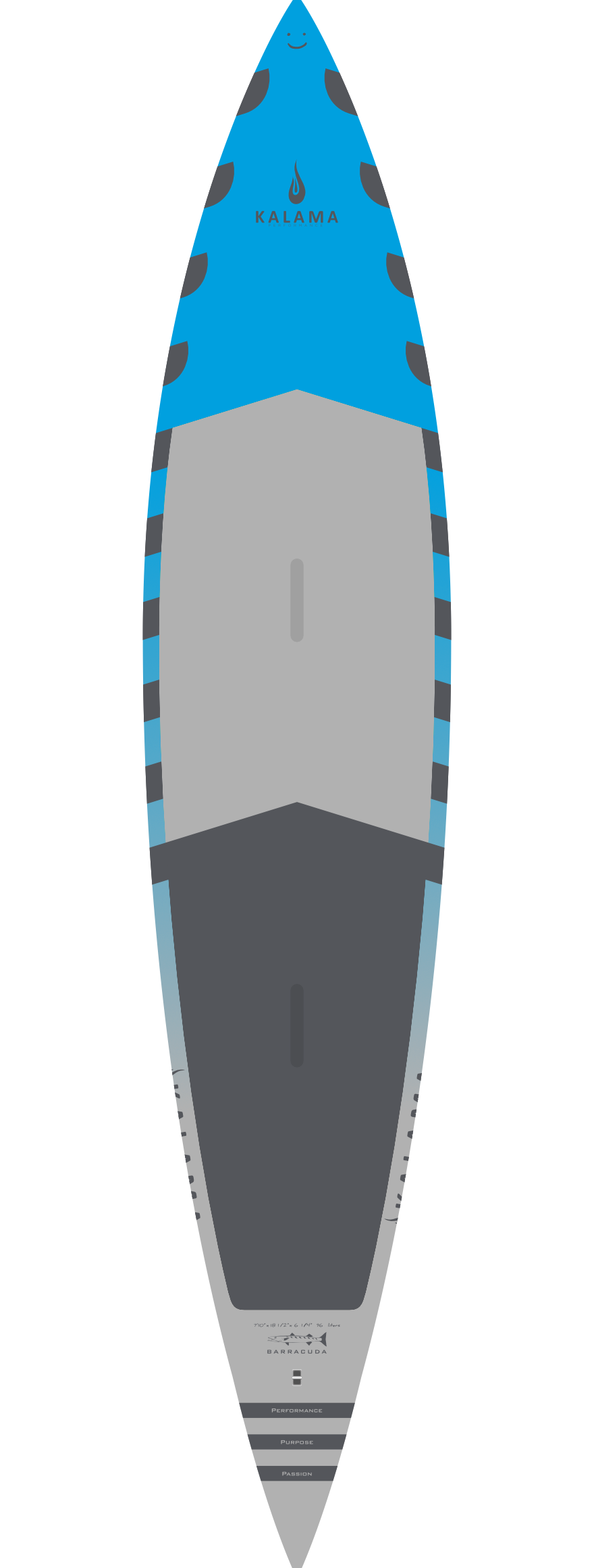 Barracuda